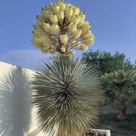 טברנס Cortijo Oro Verde B&B מראה חיצוני תמונה
