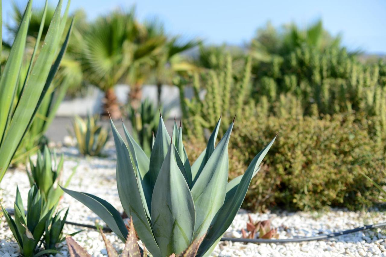 טברנס Cortijo Oro Verde B&B מראה חיצוני תמונה
